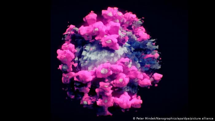 10 загадок коронавируса SARS-CoV-2